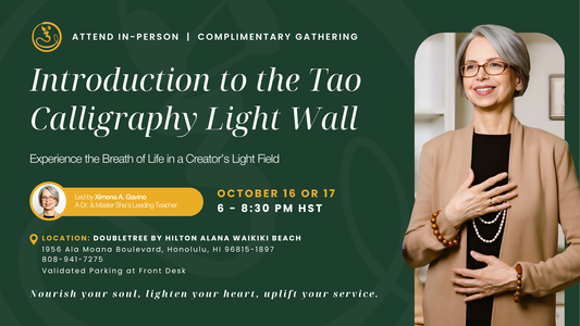 Introduction to the Tao Calligraphy Light Wall