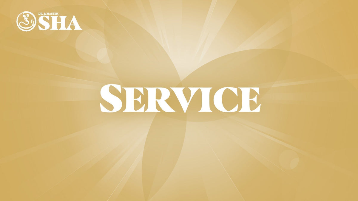 Special Services - Rulin Xiu