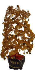 Money Tree Gold